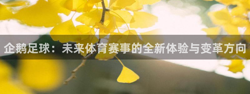 企鹅足球：未来体育赛事的全新体验与变革方向