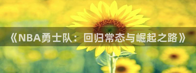 《NBA勇士队：回归常态与崛起之路》