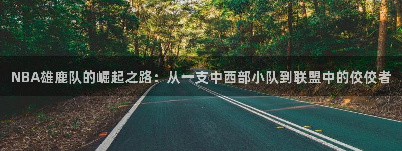 NBA雄鹿队的崛起之路：从一支中西部小队到联盟中的佼佼者