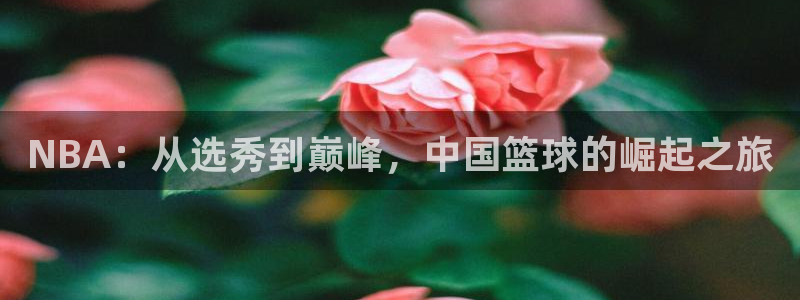 NBA：从选秀到巅峰，中国篮球的崛起之旅