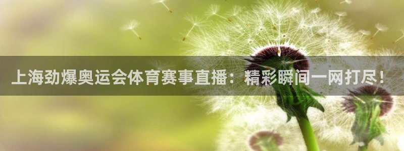 上海劲爆奥运会体育赛事直播：精彩瞬间一网打尽！
