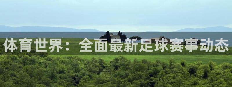 体育世界：全面最新足球赛事动态