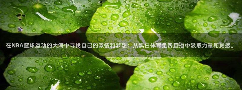 在NBA篮球运动的大海中寻找自己的激情和梦想：从黑白体育免费直播中汲取力量和灵感。
