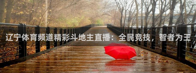 辽宁体育频道精彩斗地主直播：全民竞技，智者为王
