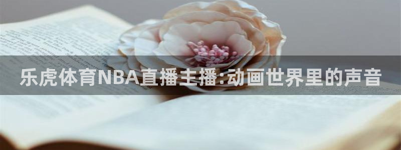 乐虎体育NBA直播主播:动画世界里的声音