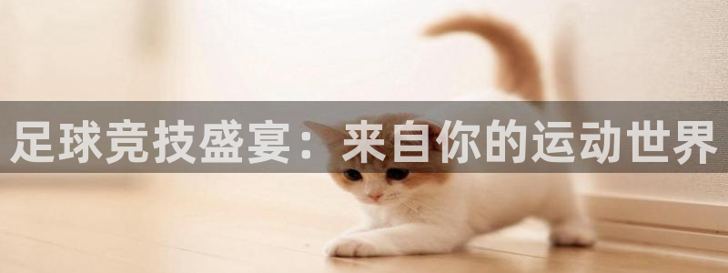 足球竞技盛宴：来自你的运动世界