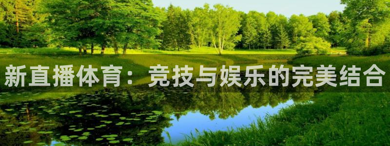 新直播体育：竞技与娱乐的完美结合