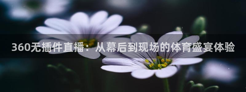 360无插件直播：从幕后到现场的体育盛宴体验