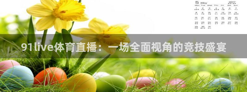 91live体育直播：一场全面视角的竞技盛宴