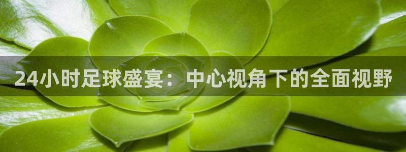 24小时足球盛宴：中心视角下的全面视野