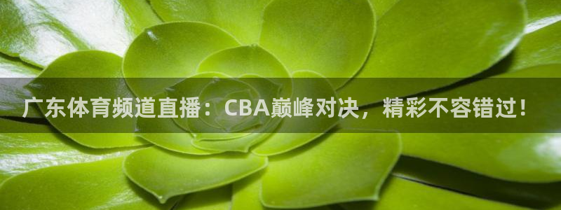 广东体育频道直播：CBA巅峰对决，精彩不容错过！
