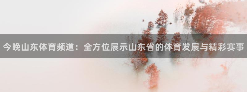 今晚山东体育频道：全方位展示山东省的体育发展与精彩赛事