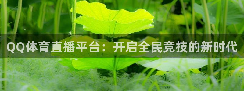 QQ体育直播平台：开启全民竞技的新时代