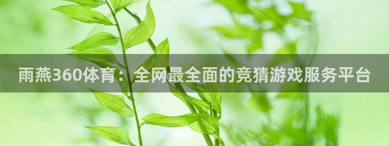 雨燕360体育：全网最全面的竞猜游戏服务平台