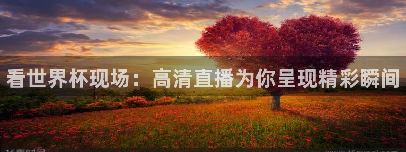 看世界杯现场：高清直播为你呈现精彩瞬间