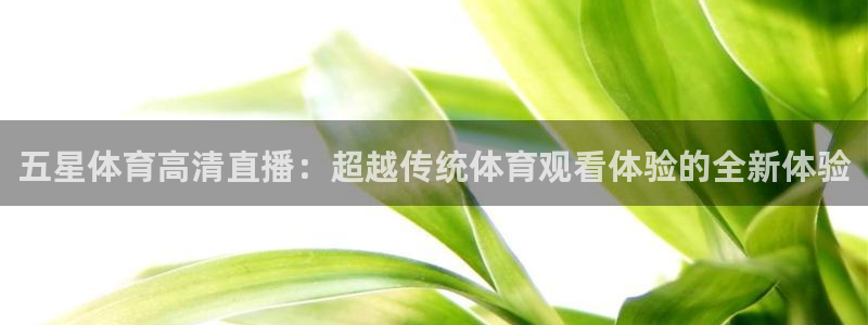 五星体育高清直播：超越传统体育观看体验的全新体验