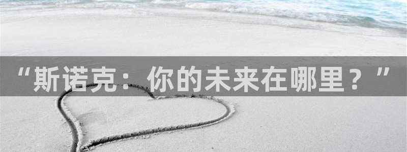 “斯诺克：你的未来在哪里？”