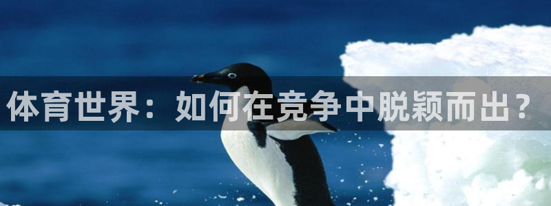 体育世界：如何在竞争中脱颖而出？