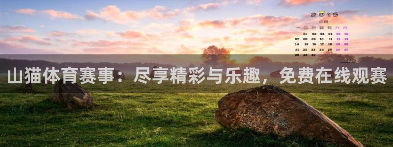 山猫体育赛事：尽享精彩与乐趣，免费在线观赛