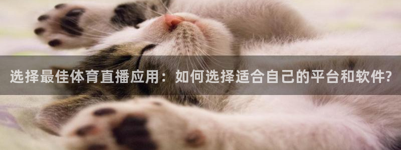 选择最佳体育直播应用：如何选择适合自己的平台和软件?