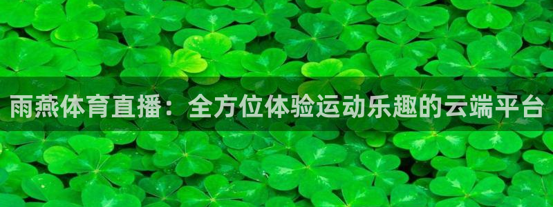 雨燕体育直播：全方位体验运动乐趣的云端平台