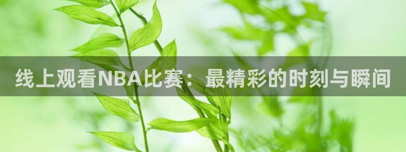 线上观看NBA比赛：最精彩的时刻与瞬间