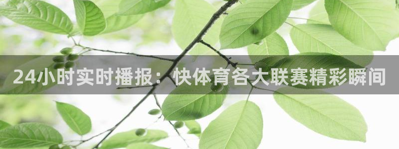 24小时实时播报：快体育各大联赛精彩瞬间