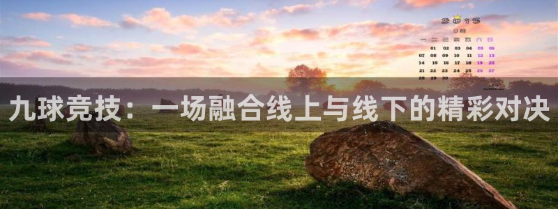 九球竞技：一场融合线上与线下的精彩对决