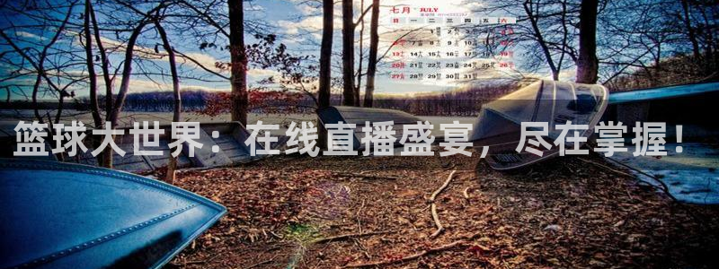 篮球大世界：在线直播盛宴，尽在掌握！