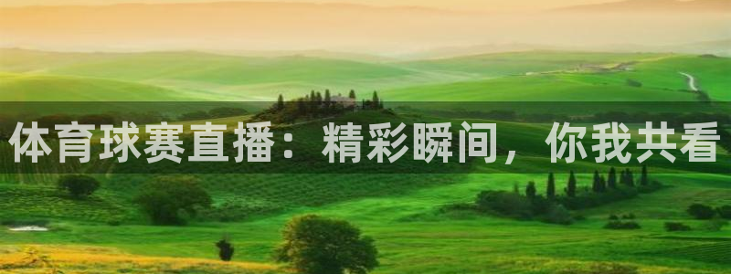 体育球赛直播：精彩瞬间，你我共看