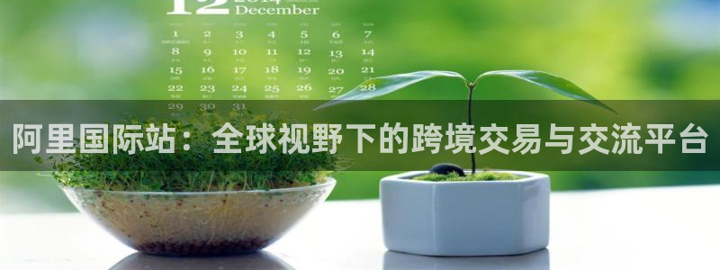 阿里国际站：全球视野下的跨境交易与交流平台