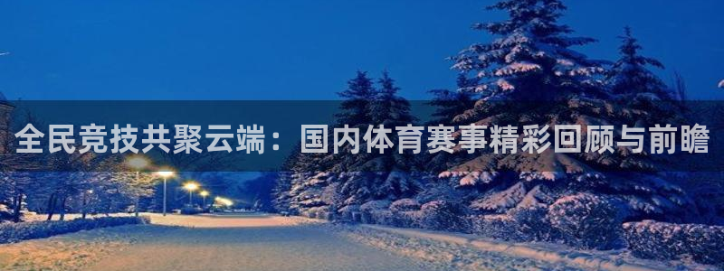 全民竞技共聚云端：国内体育赛事精彩回顾与前瞻
