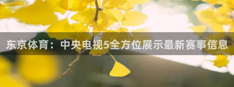 东京体育：中央电视5全方位展示最新赛事信息