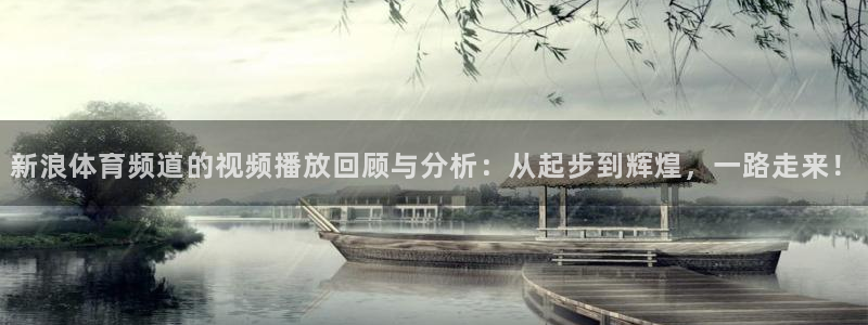 新浪体育频道的视频播放回顾与分析：从起步到辉煌，一路走来！