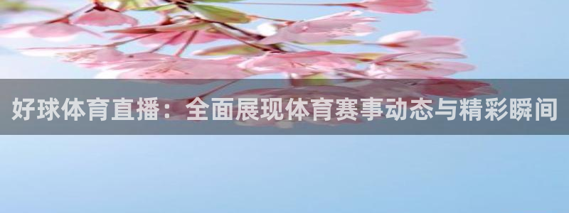 好球体育直播：全面展现体育赛事动态与精彩瞬间