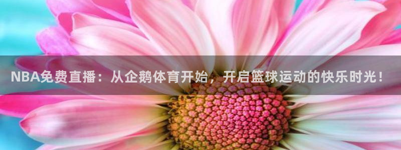 NBA免费直播：从企鹅体育开始，开启篮球运动的快乐时光！