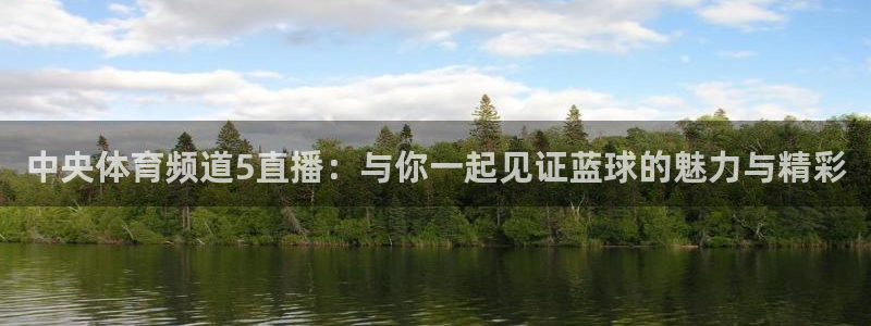 中央体育频道5直播：与你一起见证蓝球的魅力与精彩