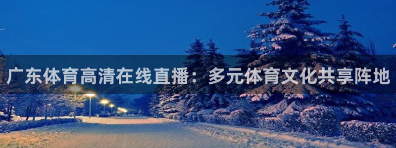 广东体育高清在线直播：多元体育文化共享阵地