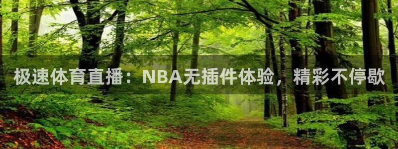极速体育直播：NBA无插件体验，精彩不停歇
