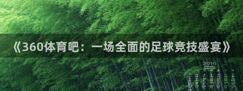 《360体育吧：一场全面的足球竞技盛宴》
