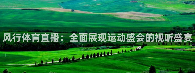 风行体育直播：全面展现运动盛会的视听盛宴