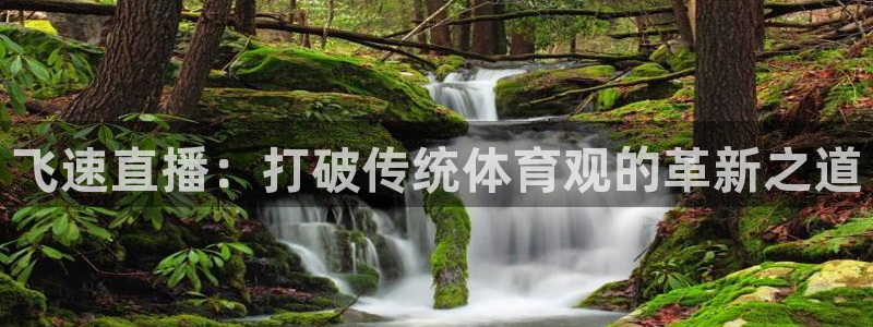 飞速直播：打破传统体育观的革新之道