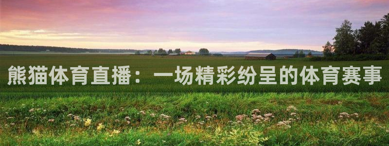 熊猫体育直播：一场精彩纷呈的体育赛事