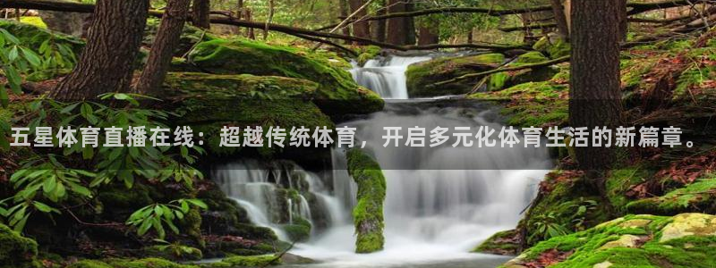 五星体育直播在线：超越传统体育，开启多元化体育生活的新篇章。