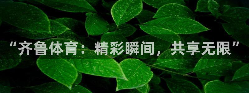 “齐鲁体育：精彩瞬间，共享无限”