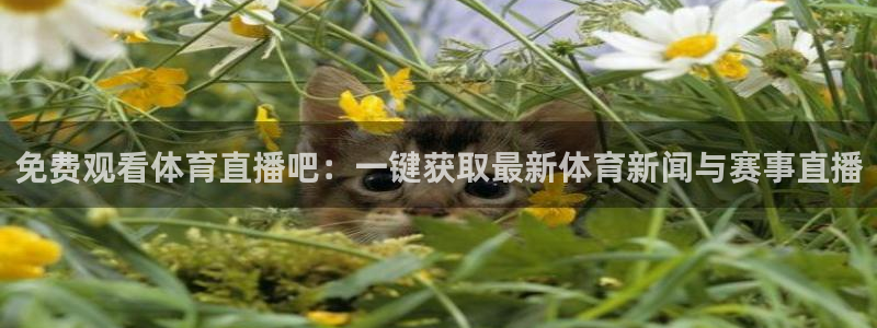 免费观看体育直播吧：一键获取最新体育新闻与赛事直播