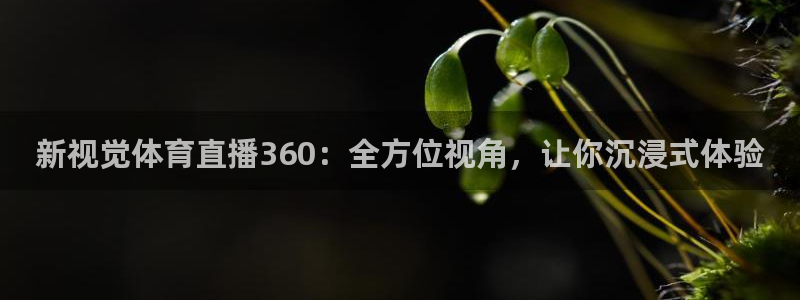 新视觉体育直播360：全方位视角，让你沉浸式体验