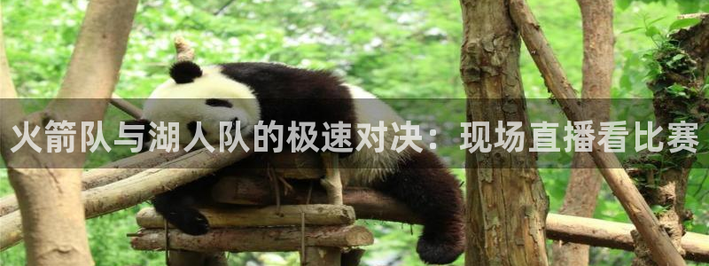 火箭队与湖人队的极速对决：现场直播看比赛
