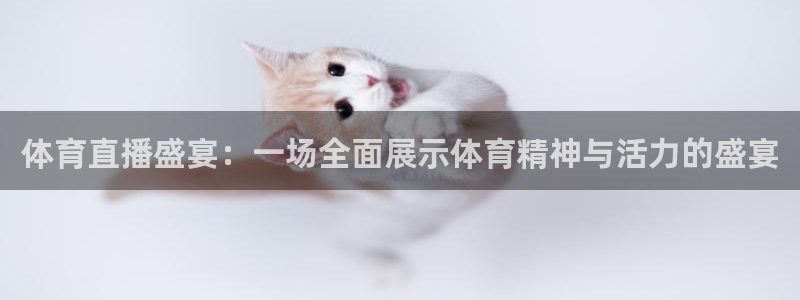 体育直播盛宴：一场全面展示体育精神与活力的盛宴