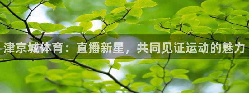 津京城体育：直播新星，共同见证运动的魅力